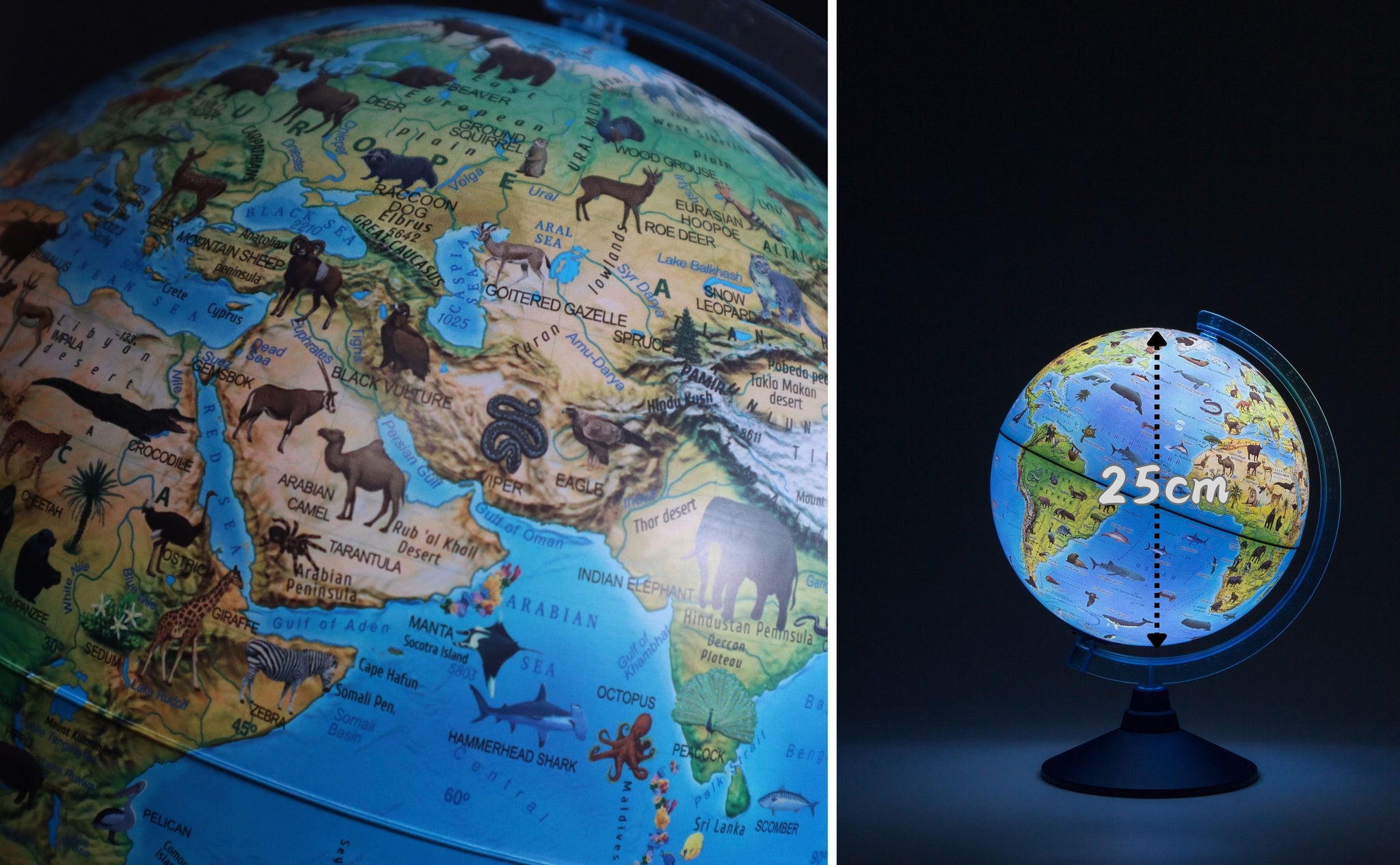 globe グッズ　25点 GLOBE-TROTTER GLOBE TROTTER グローブトロッター ラゲッジタグ