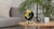 EXERZ 20cm Globe Black & Golden, All Direction 360 Rotating