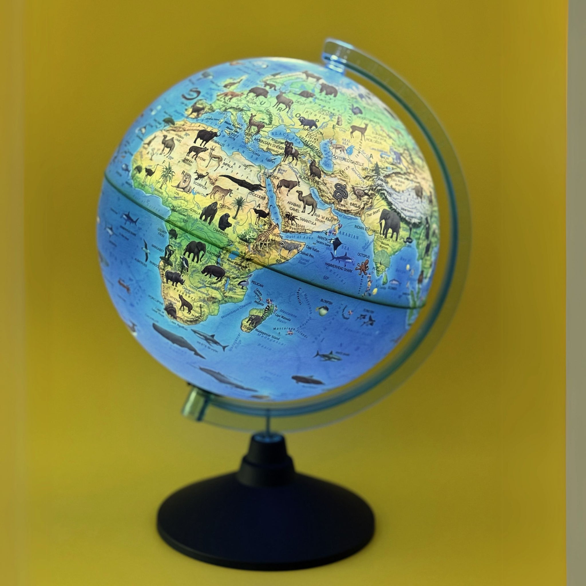 Exerz 25cm Zoo-Geo Illuminated Globe -Physical and Zoo Dual
